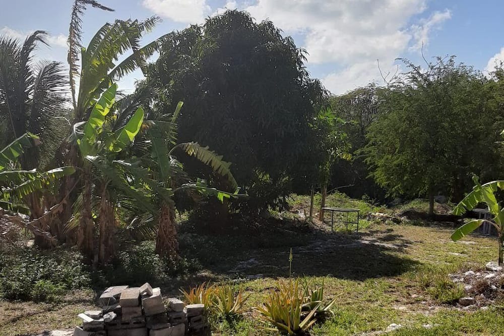 Photo of Outdoor in Winding Bay