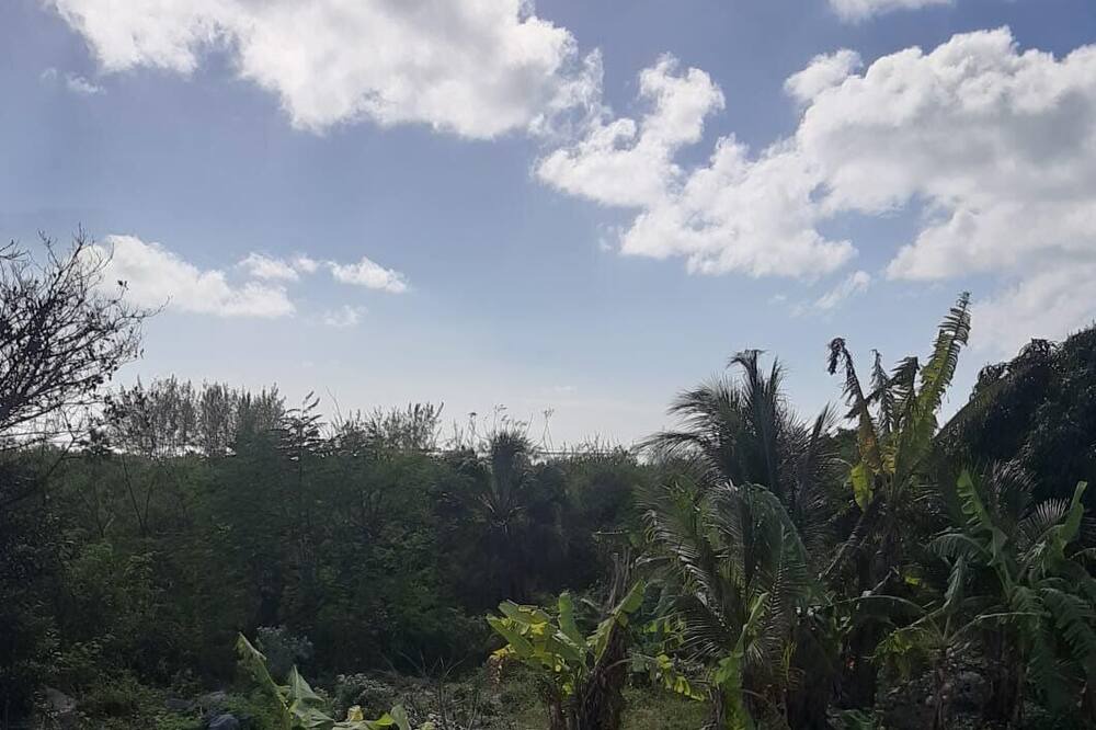 Photo of Outdoor in Winding Bay