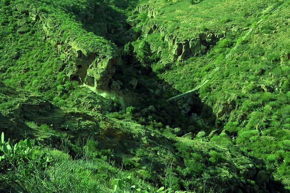 Photo of Others in Los Gavilanes
