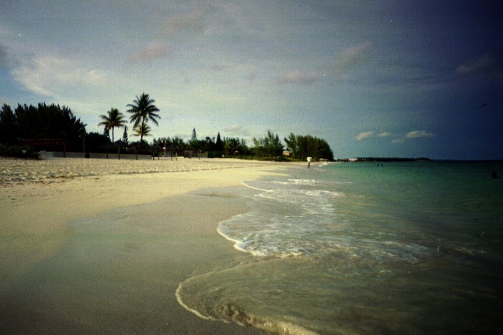 Photo of Others in Williams Town