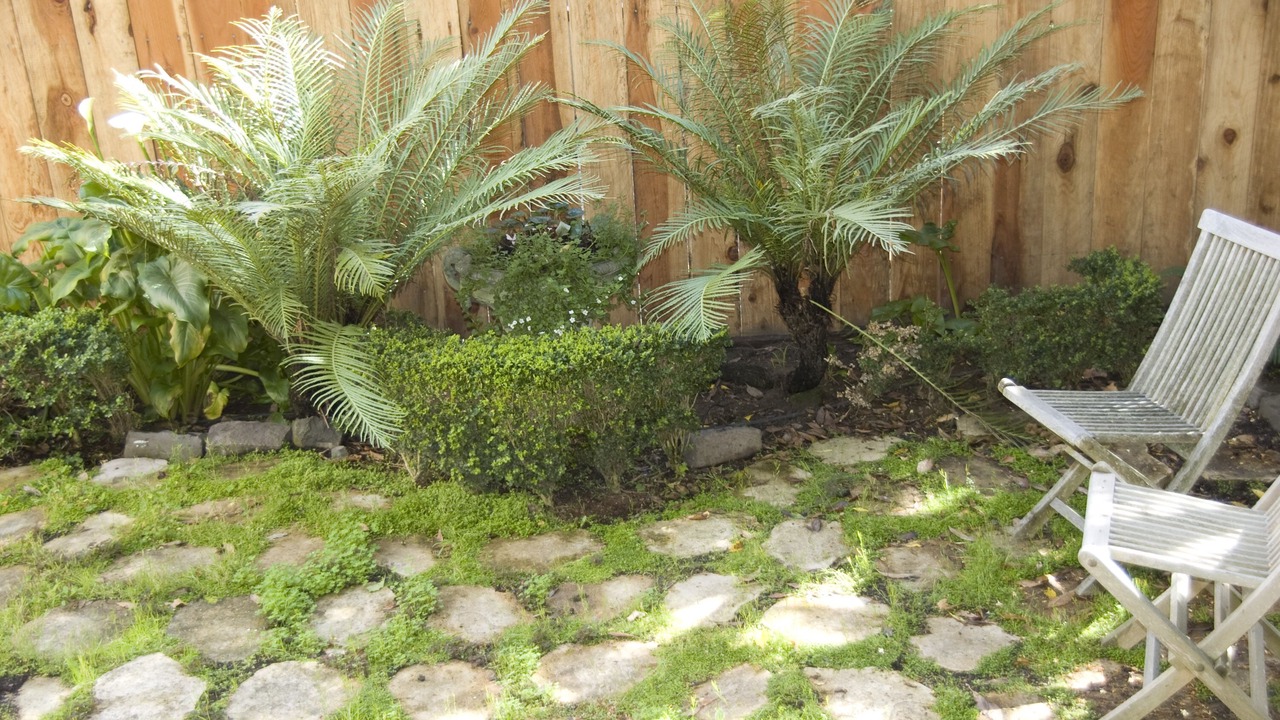 Photo of Outdoor in Pacific Heights