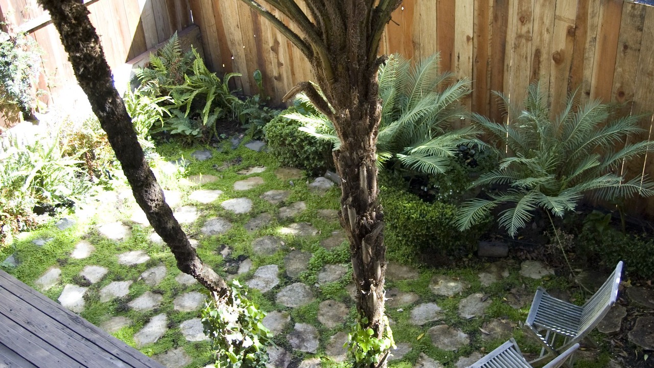 Photo of Outdoor in Pacific Heights