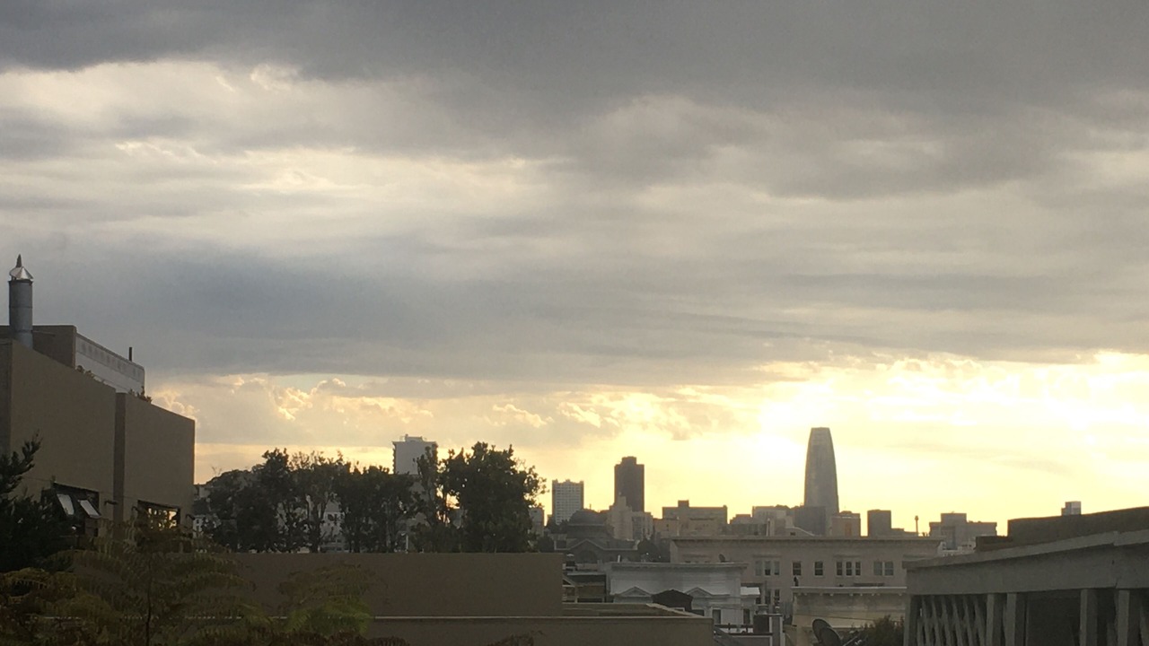 Photo of Others in Pacific Heights