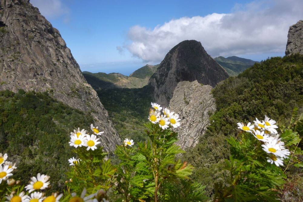 Photo of Outdoor in Alojera