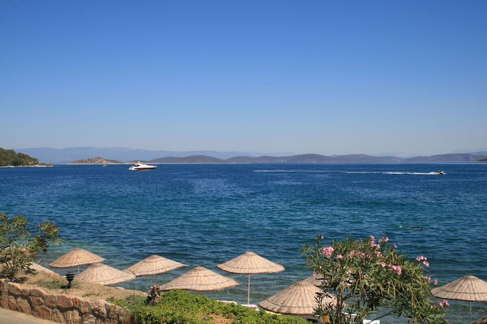 Photo of Others in Torba