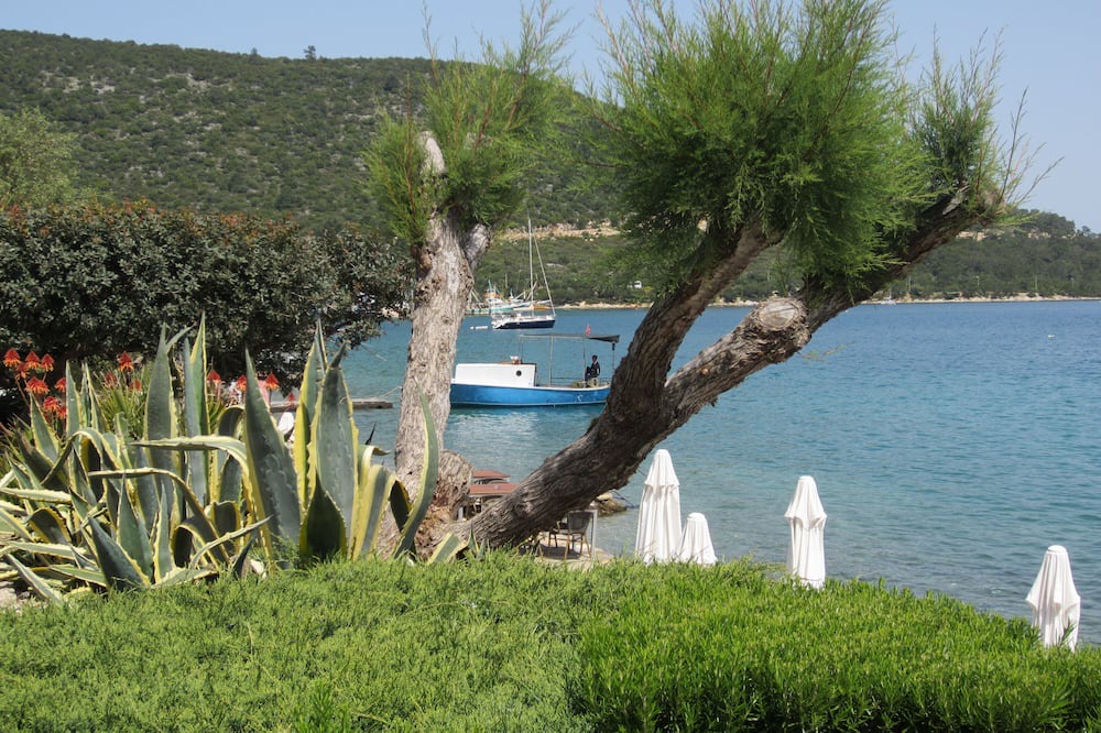 Photo of Others in Torba