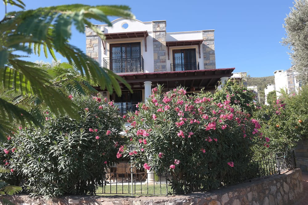 Photo of Outdoor in Torba