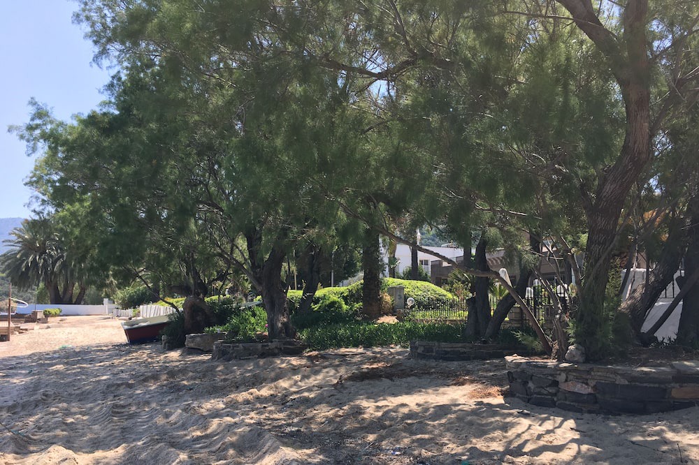 Photo of Others in Torba