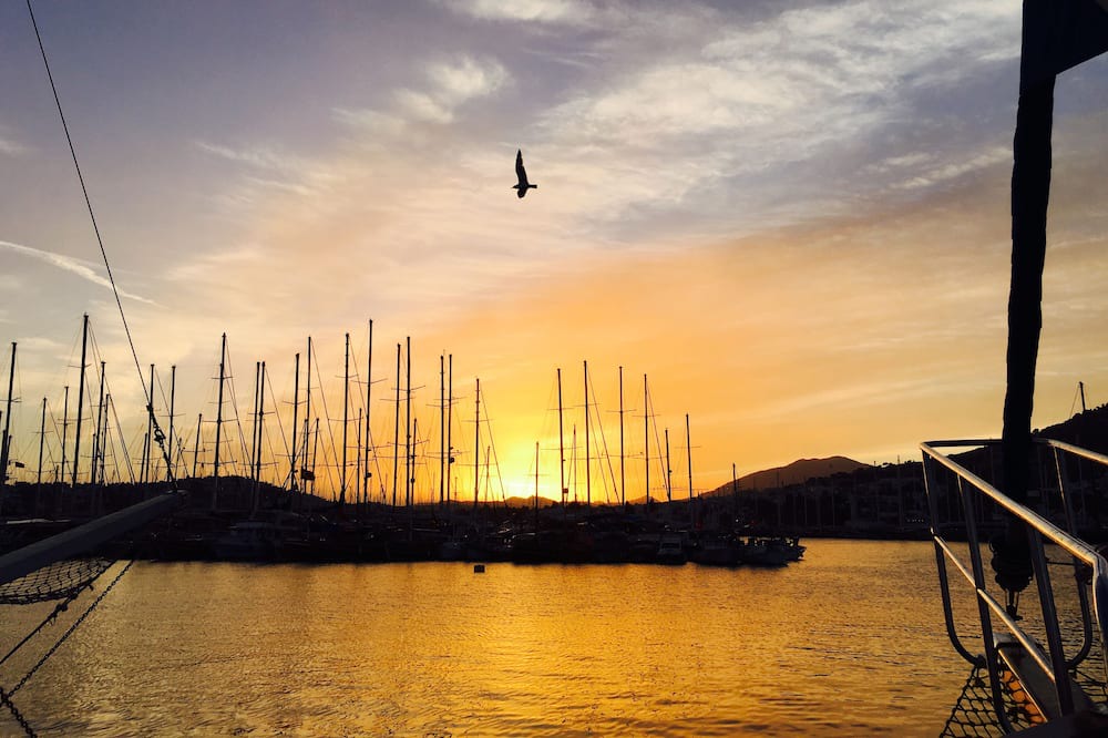 Photo of Others in Torba