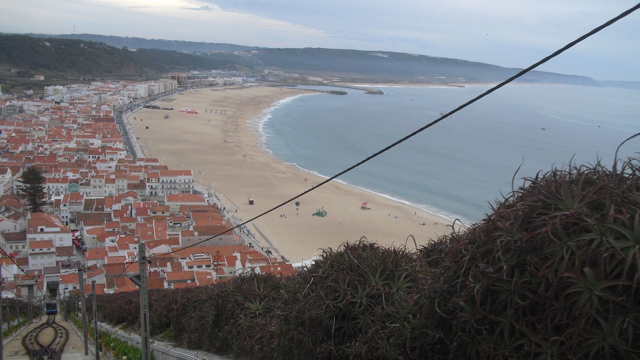 Photo of Others in Carvide