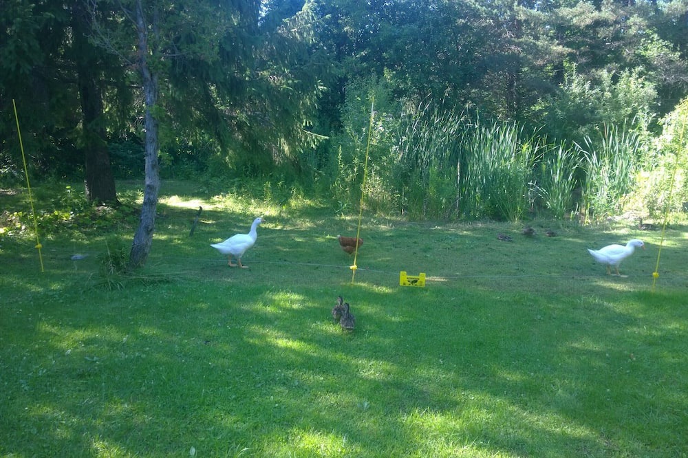 Photo of Outdoor in Saint-Nicolas