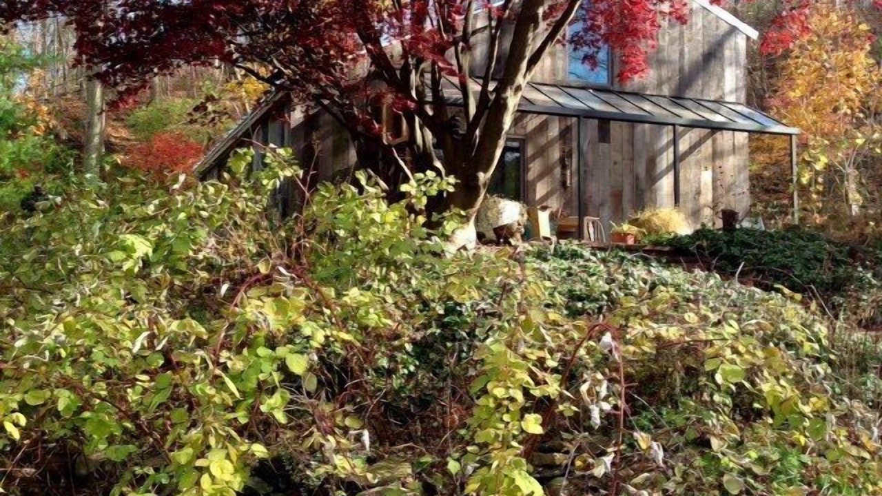 Photo of Outdoor in Pawling