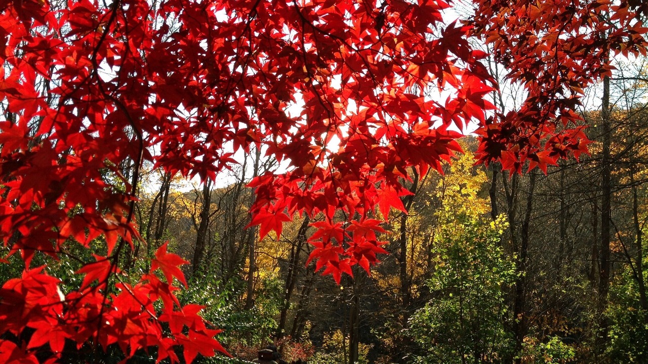 Photo of Outdoor in Pawling