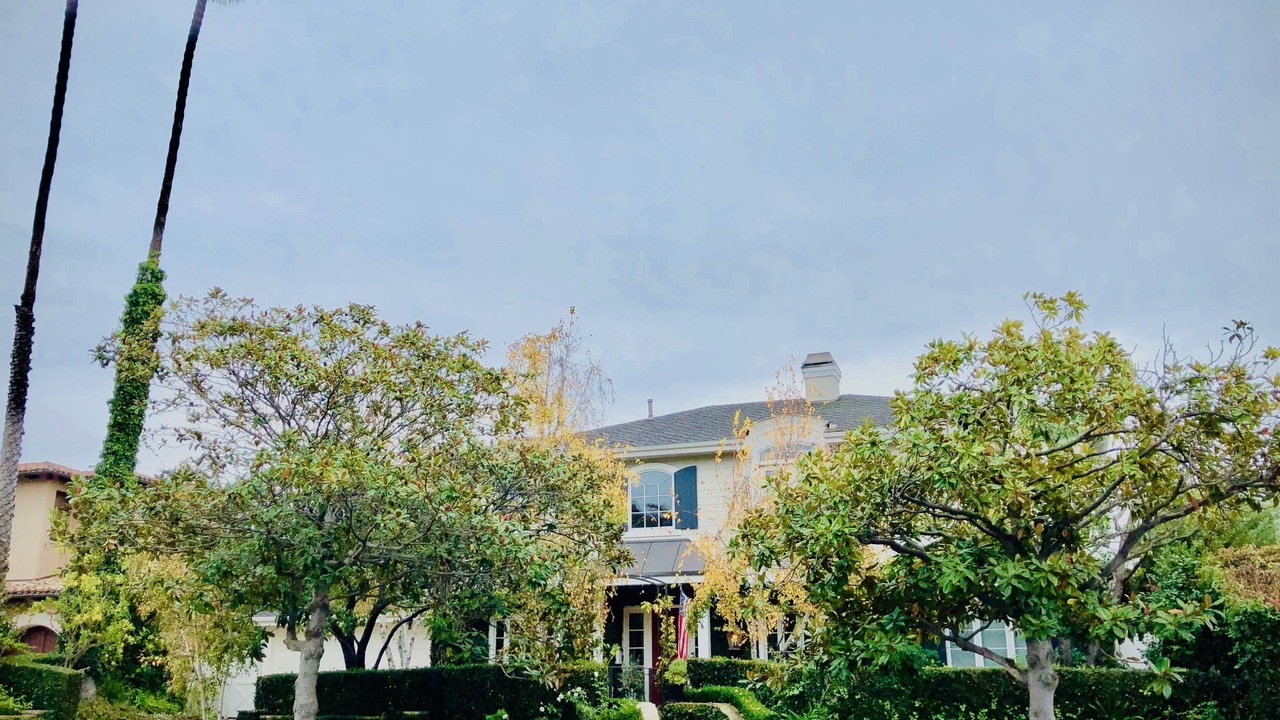 Photo of Outdoor in Pacific Palisades