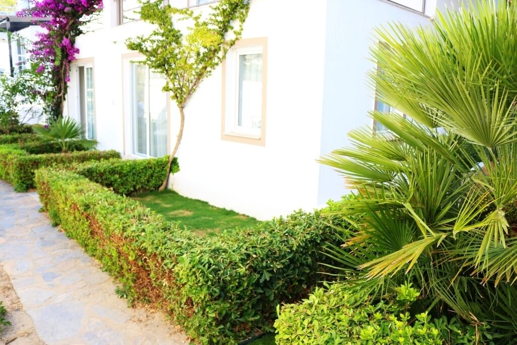 Photo of Outdoor in Geris