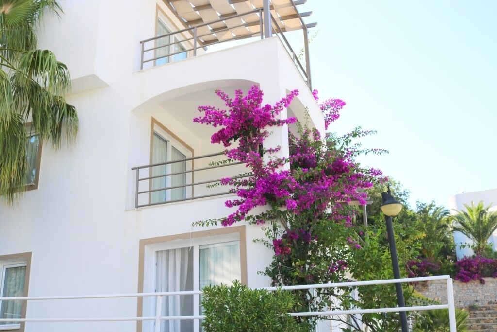 Photo of Outdoor in Geris