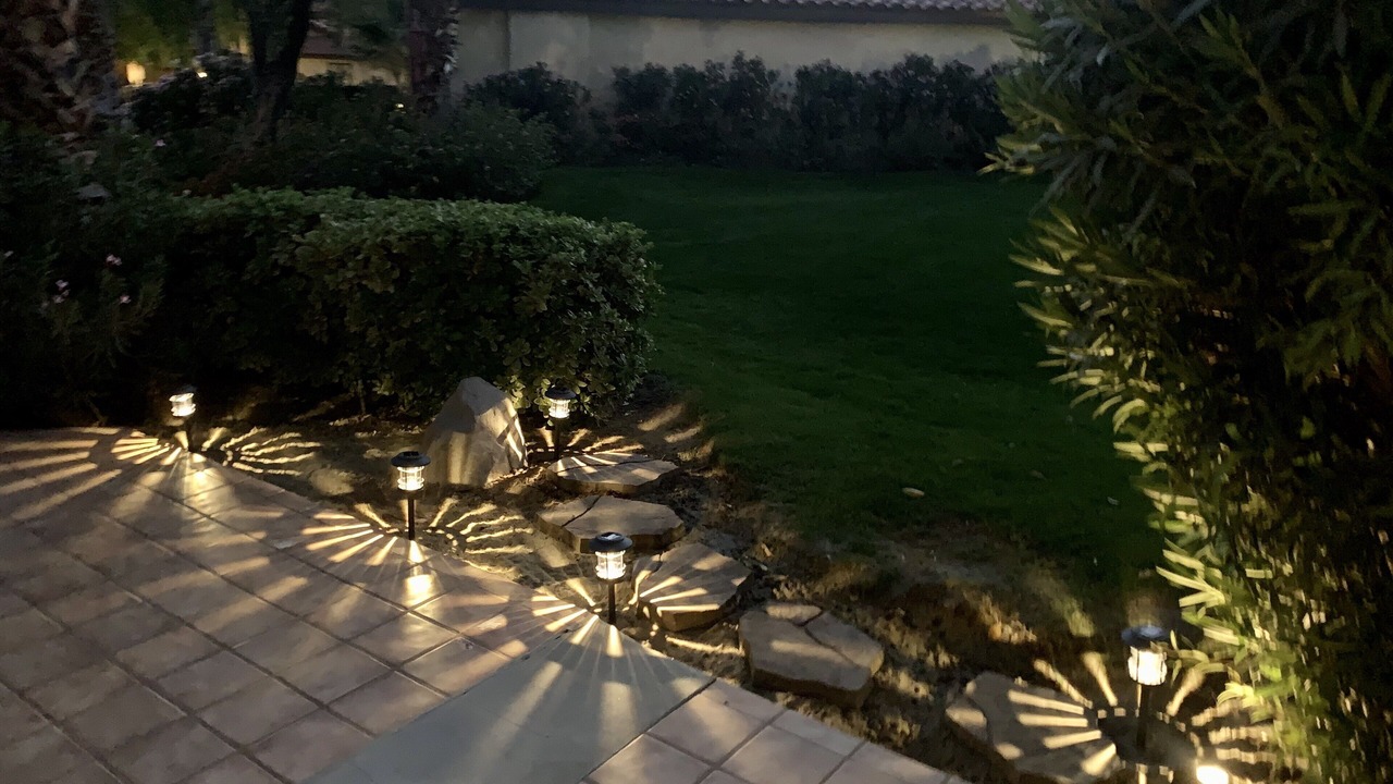 Photo of Outdoor in Park Palms