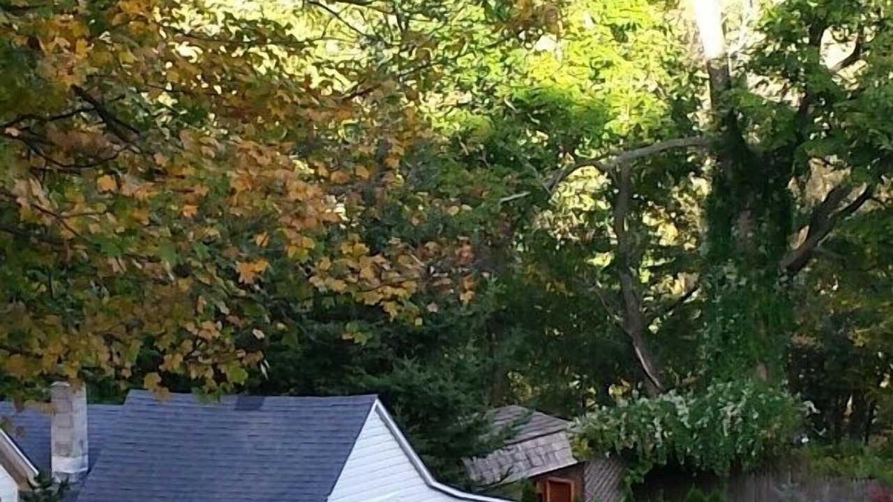 Photo of Outdoor in Monroe
