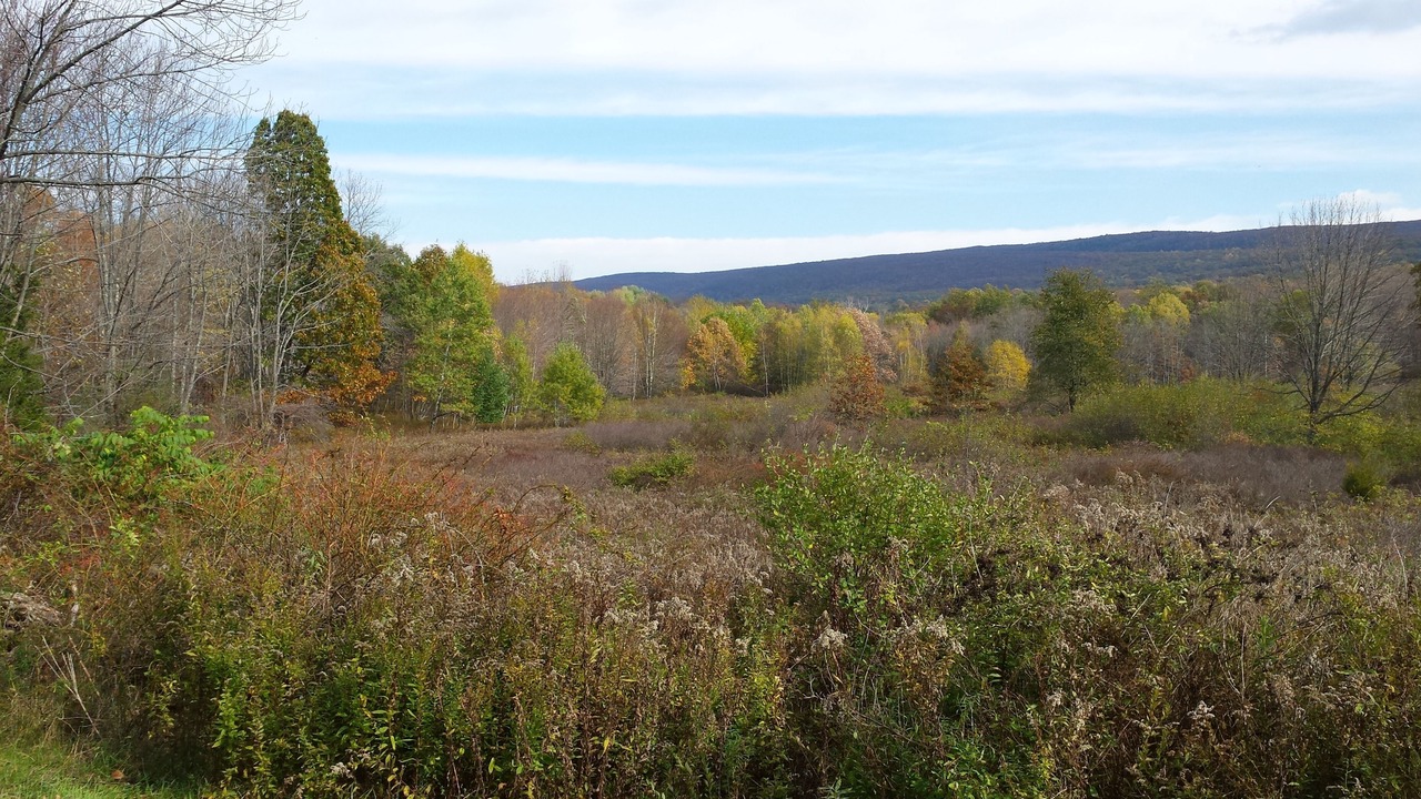 Photo of Outdoor in Monroe