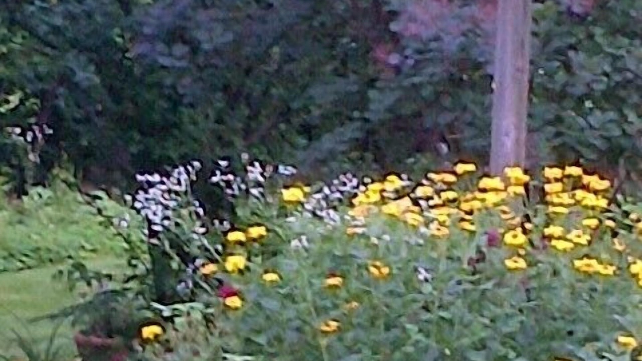Photo of Outdoor in Monroe