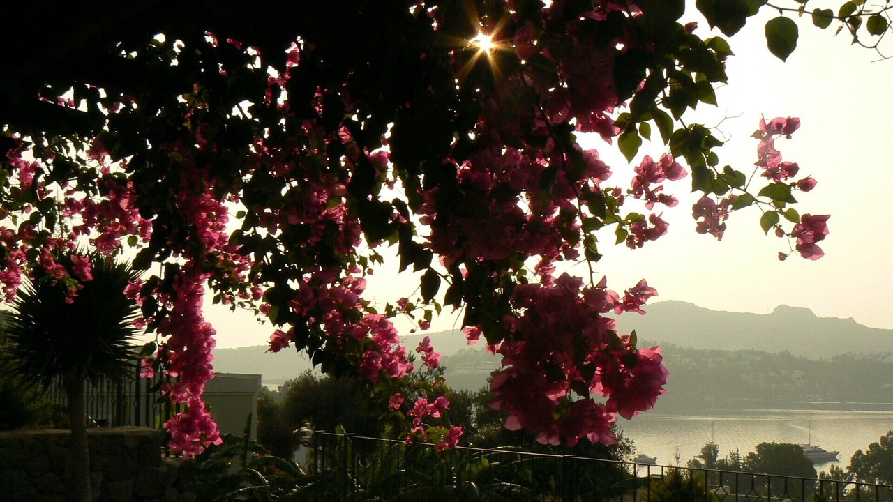 Photo of Patio Balcony in Gundogan