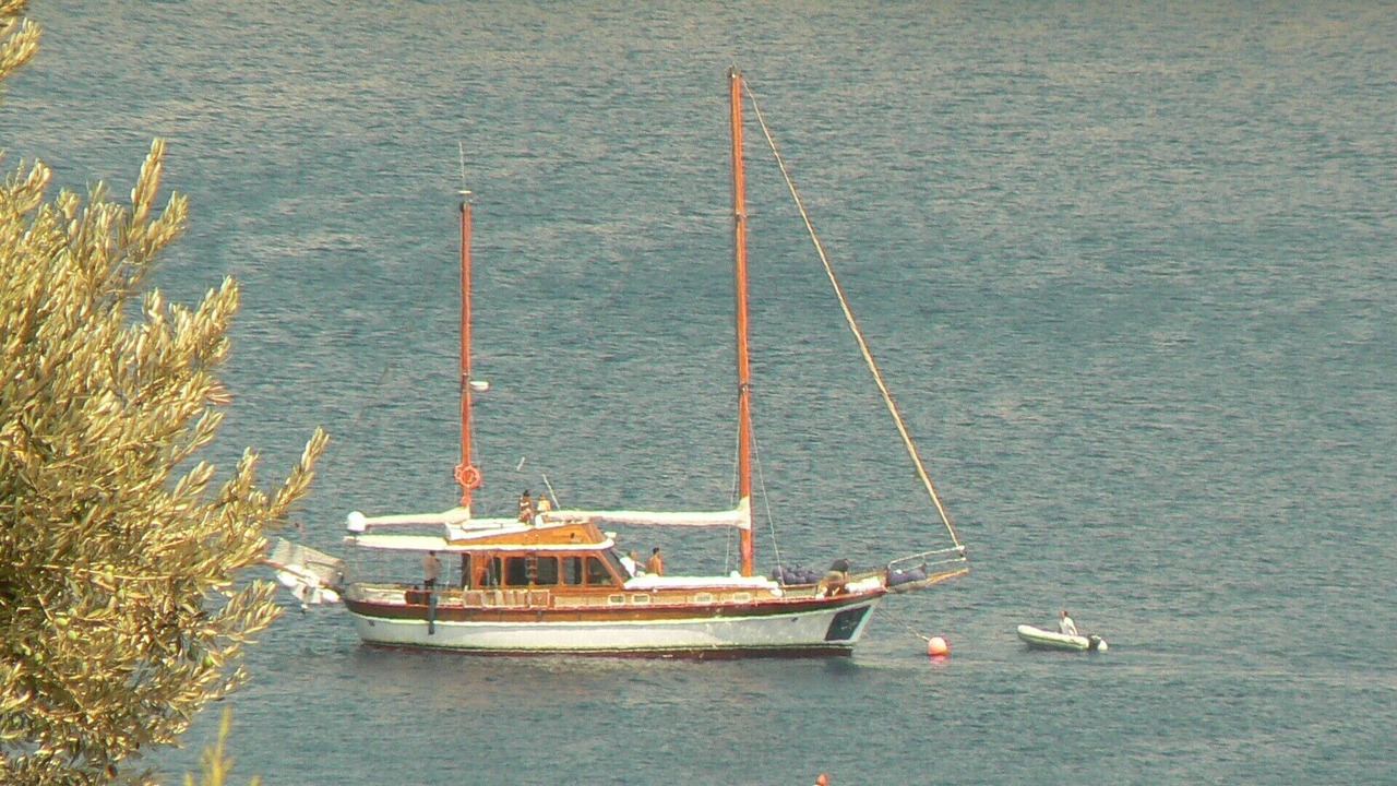 Photo of Others in Gundogan