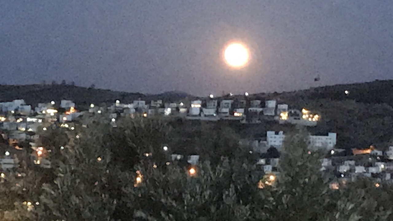 Photo of Outdoor in Gundogan
