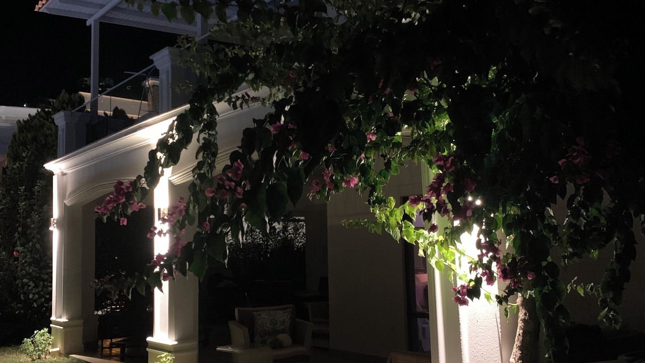 Photo of Outdoor in Gundogan