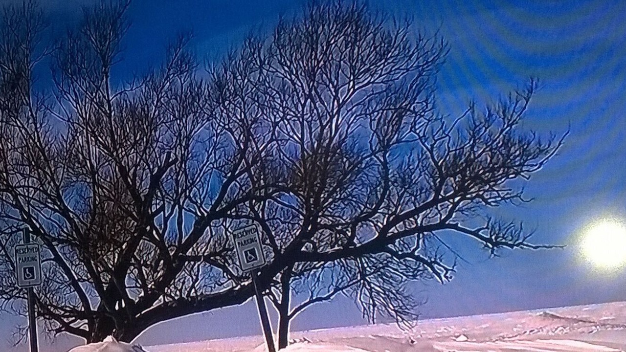 Photo of Others in Lake Erie Beach
