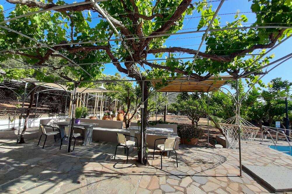 Photo of Patio Balcony in Kounelion
