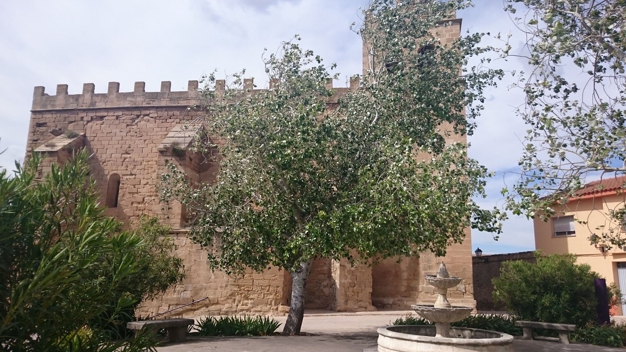 Photo of Others in Fabara