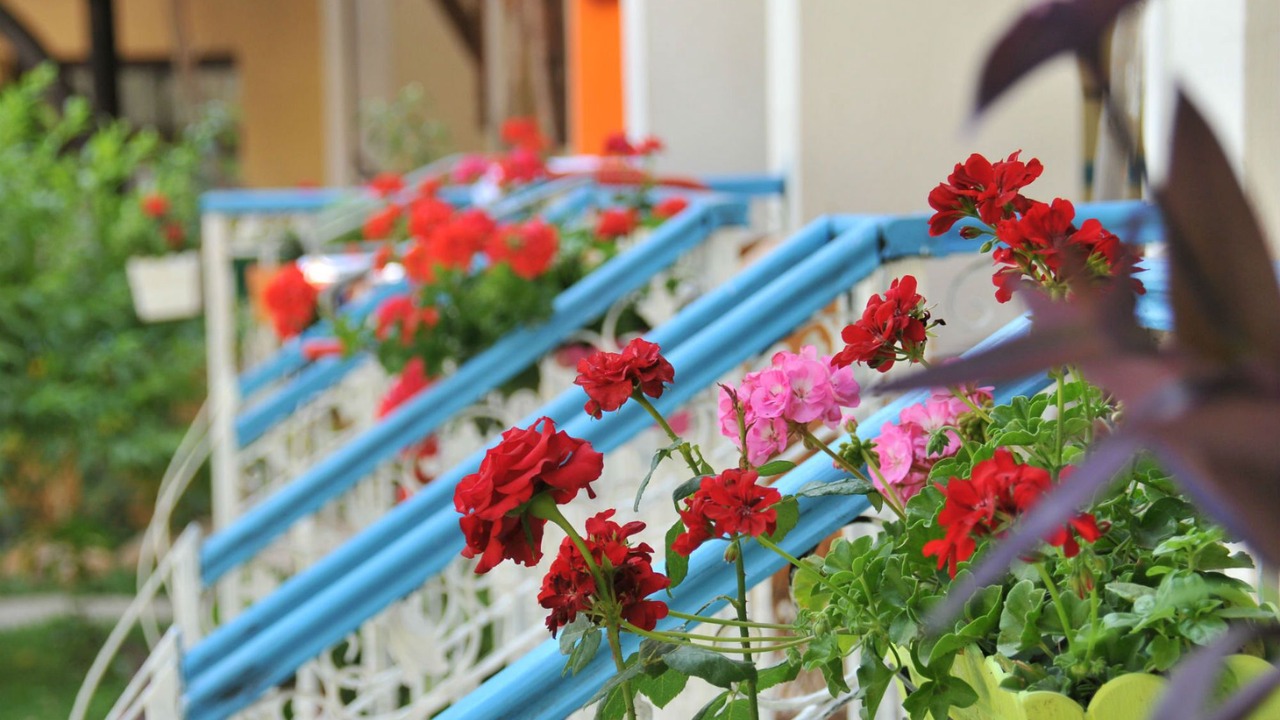 Photo of Outdoor in Oludeniz City Center