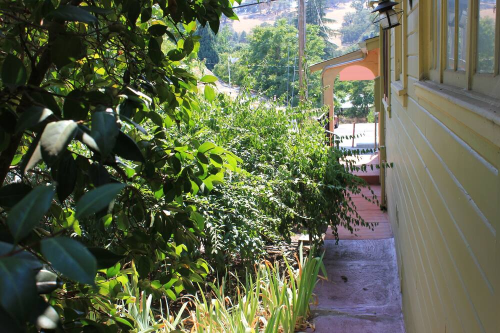 Photo of Outdoor in Sutter Creek