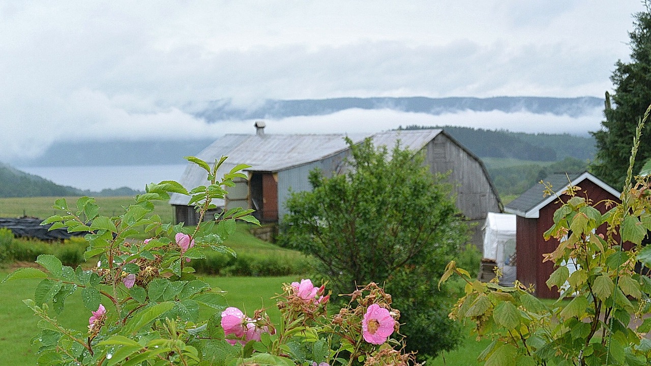 Photo of Outdoor in Sainte Rose du Nord