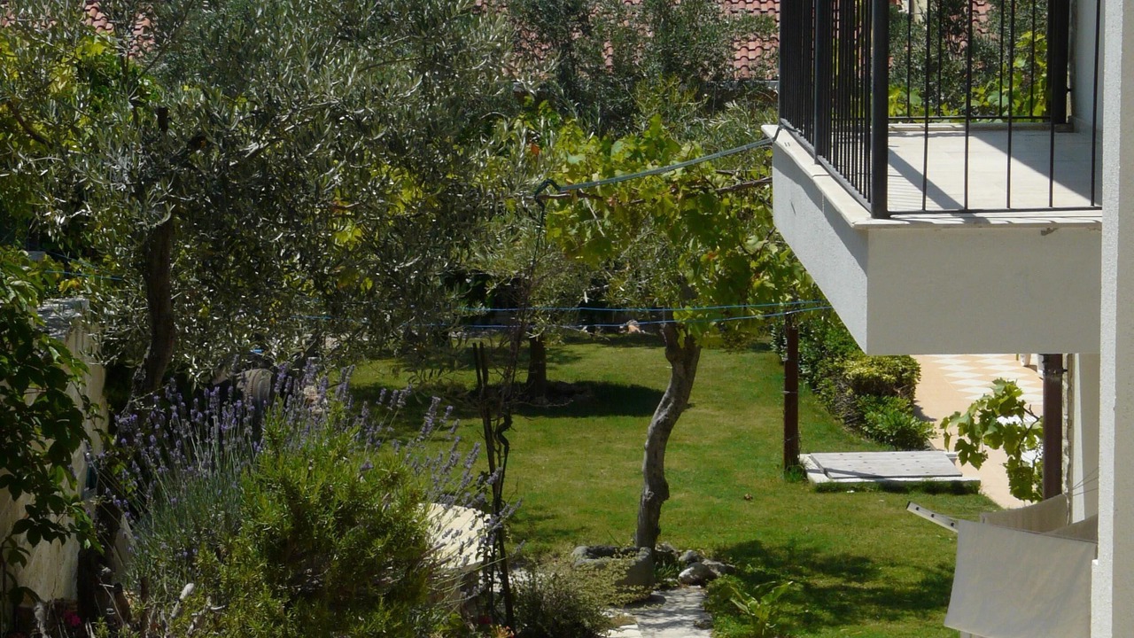 Photo of Outdoor in Yenifoca
