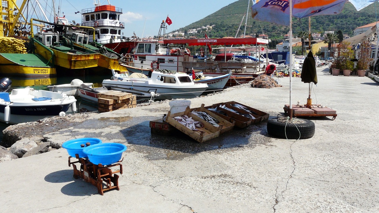 Photo of Outdoor in Yenifoca