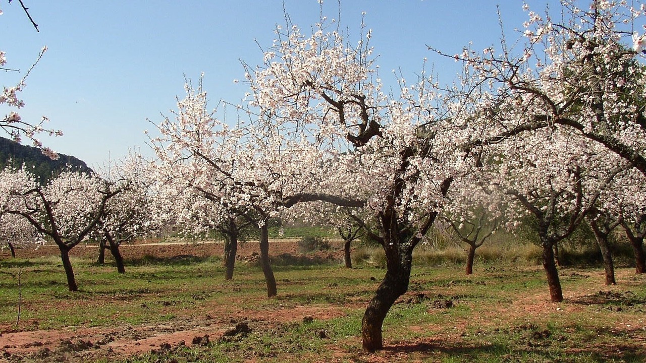 Photo of Outdoor in Marca