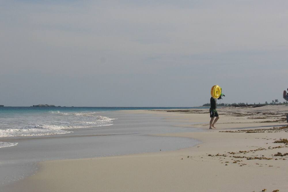 Photo of Others in Crossing Rocks