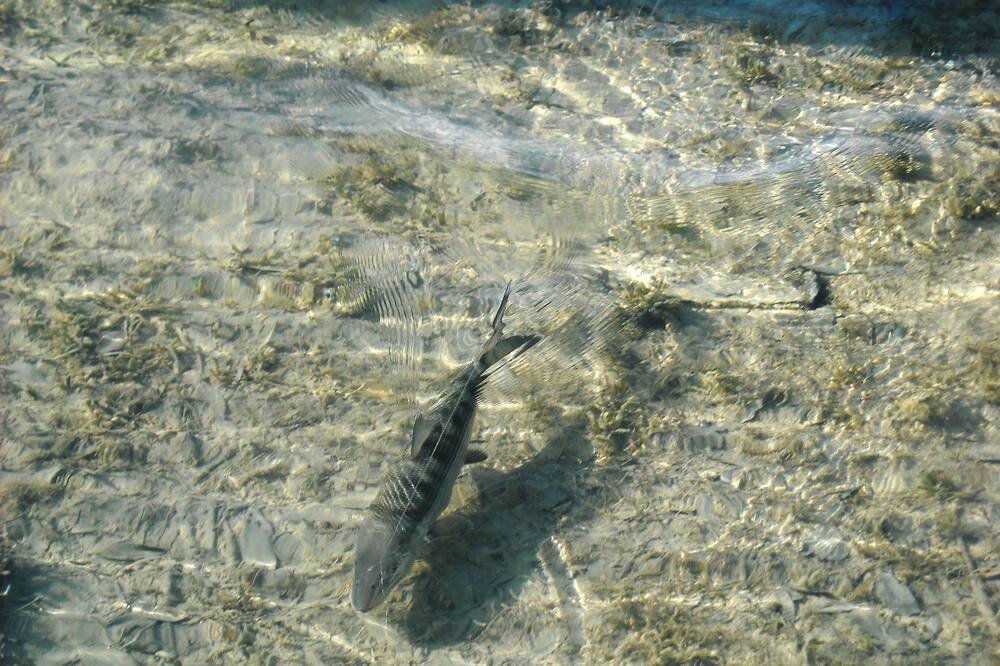 Photo of Others in Crossing Rocks