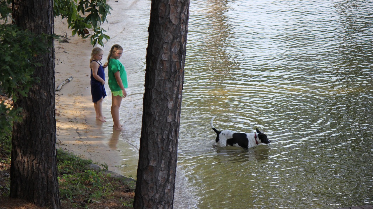 Photo of Outdoor in Pleasure Point