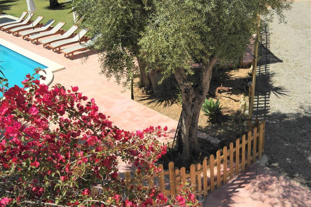 Photo of Outdoor in Sant Llorenc de Balafia