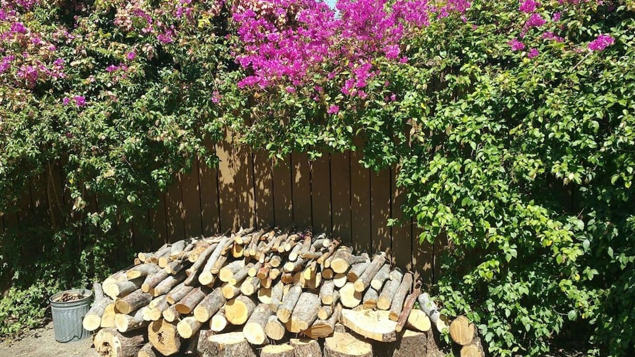 Photo of Outdoor in North Hollywood