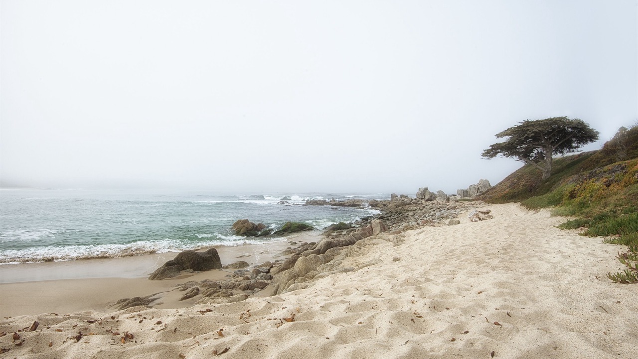 Photo of Others in Carmel Point