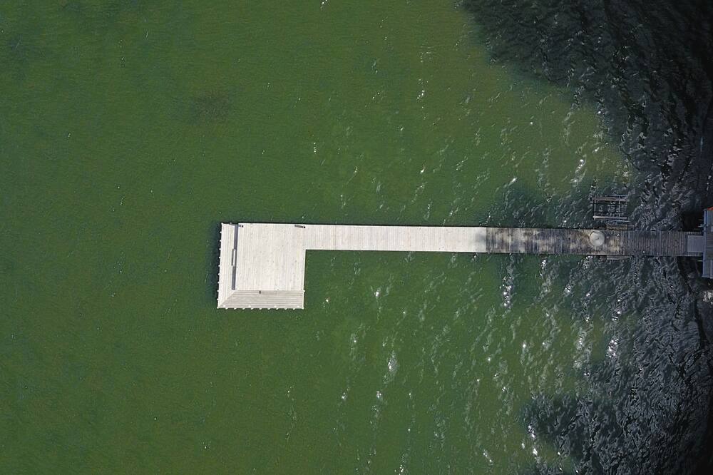 Photo of Others in Teall Beach