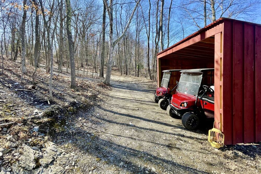 Photo of Outdoor in Copake Lake