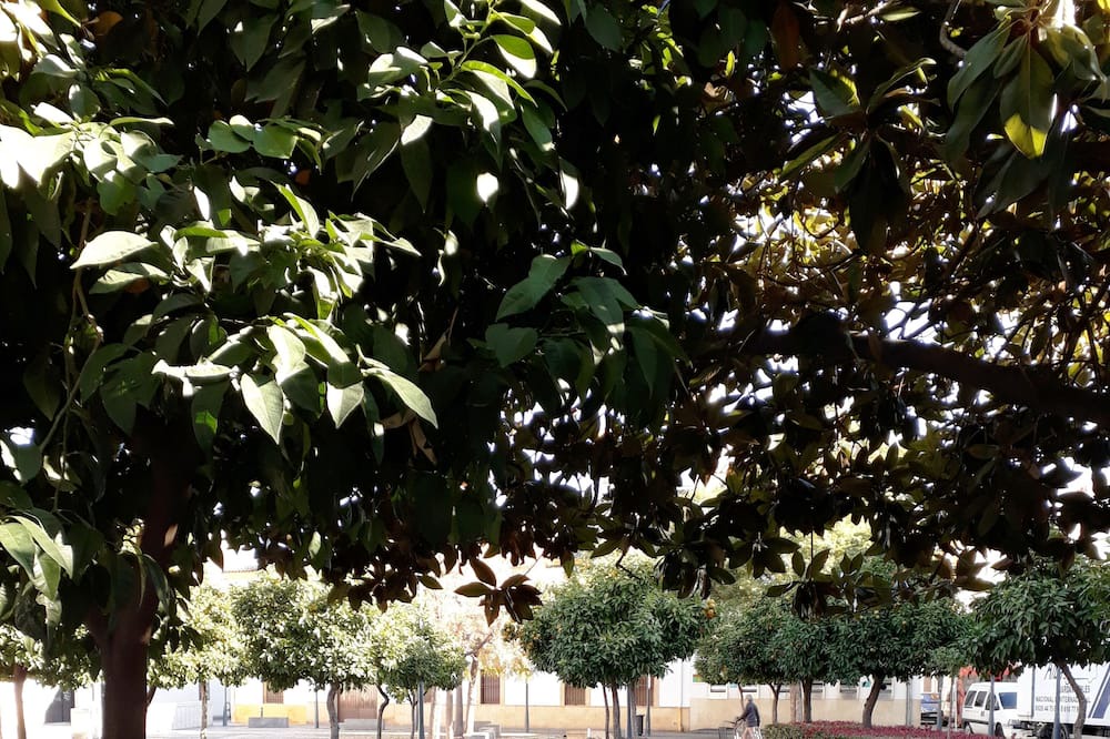 Photo of Outdoor in San Andres-San Pablo