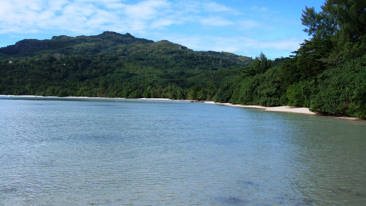 Photo of Others in Anse La Mouche
