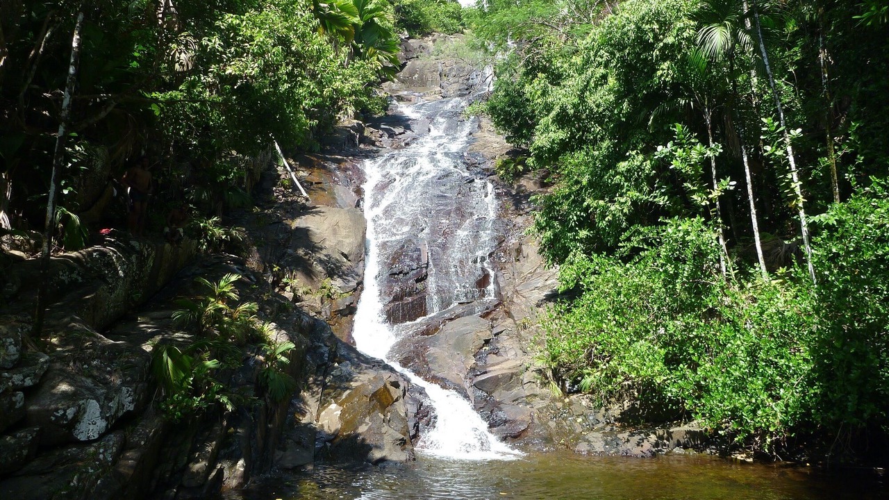 Photo of Outdoor in Anse La Mouche