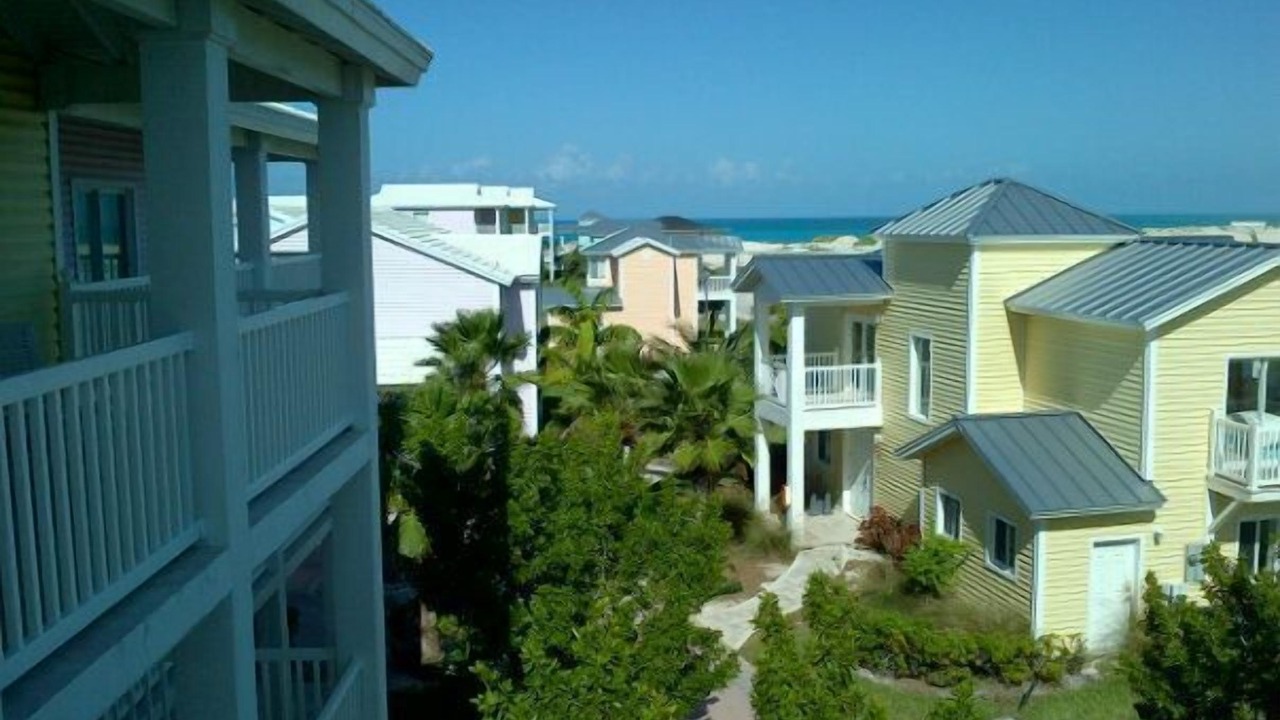 Photo of Outdoor in Alice Town