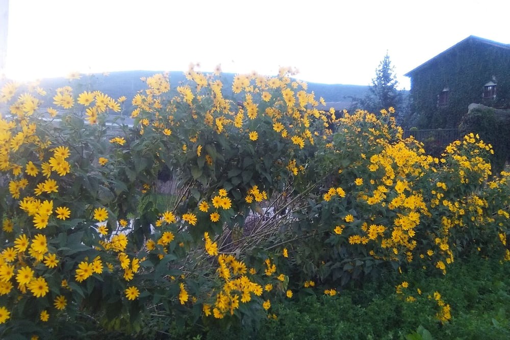 Photo of Outdoor in Adrall